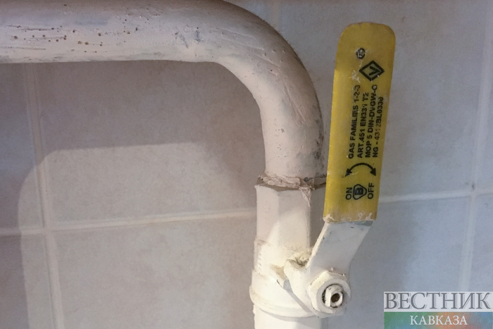 ����: vestikavkaza.ru