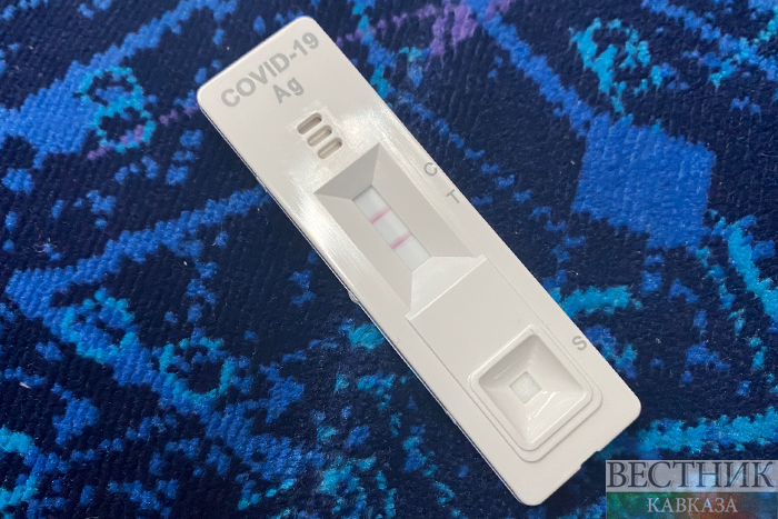 Фото: vestikavkaza.ru