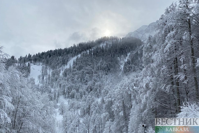 ����: vestikavkaza.ru