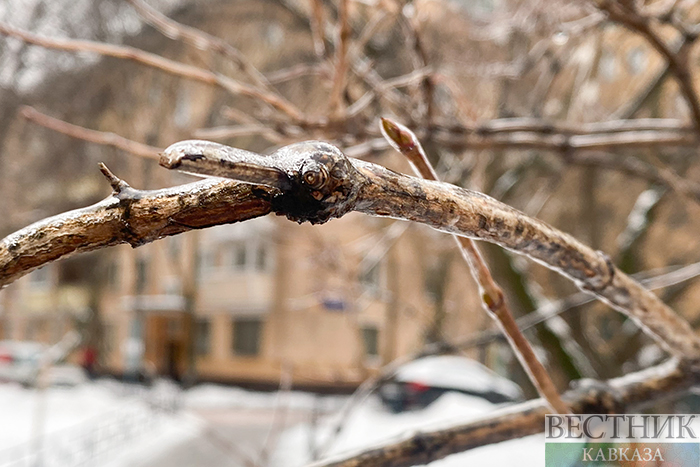 ����: vestikavkaza.ru