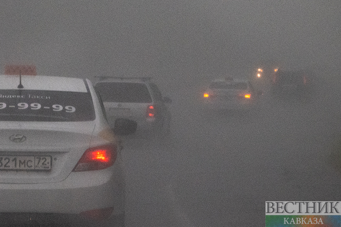 ����: vestikavkaza.ru