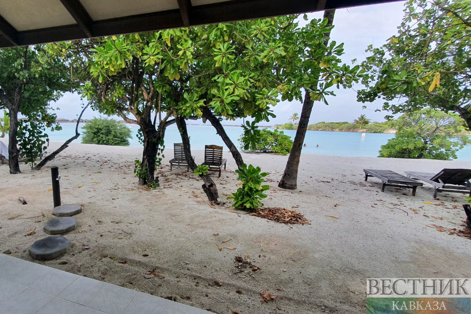 ����: vestikavkaza.ru