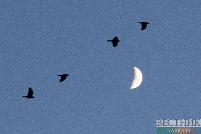 ����: vestikavkaza.ru