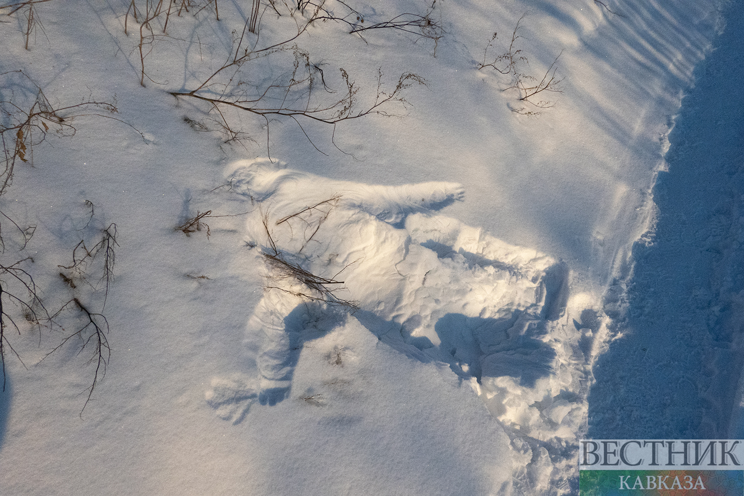 ����: vestikavkaza.ru