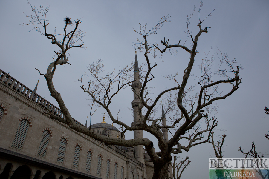 ����: vestikavkaza.ru