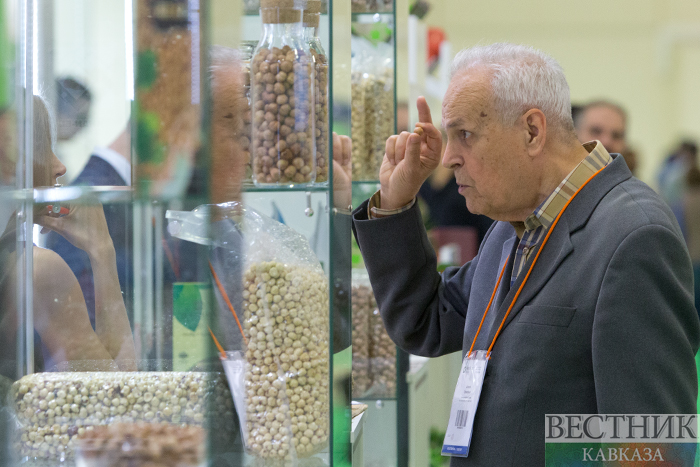 ����: vestikavkaza.ru