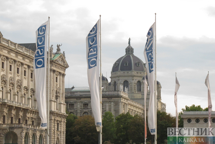 ����: vestikavkaza.ru