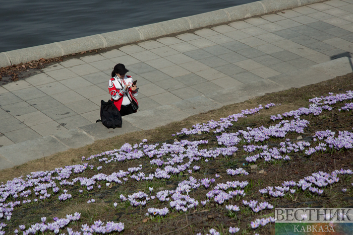 Фото: vestikavkaza.ru
