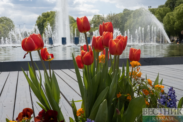 ����: vestikavkaza.ru