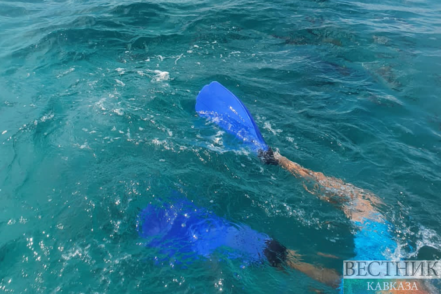 ����: vestikavkaza.ru