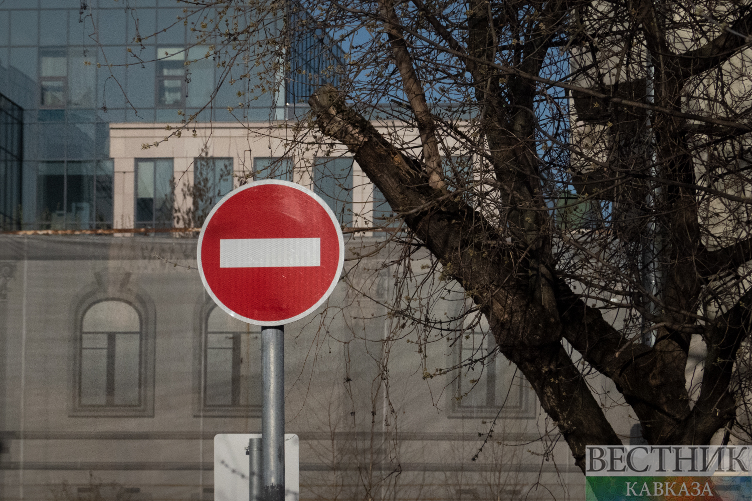 ����: vestikavkaza.ru