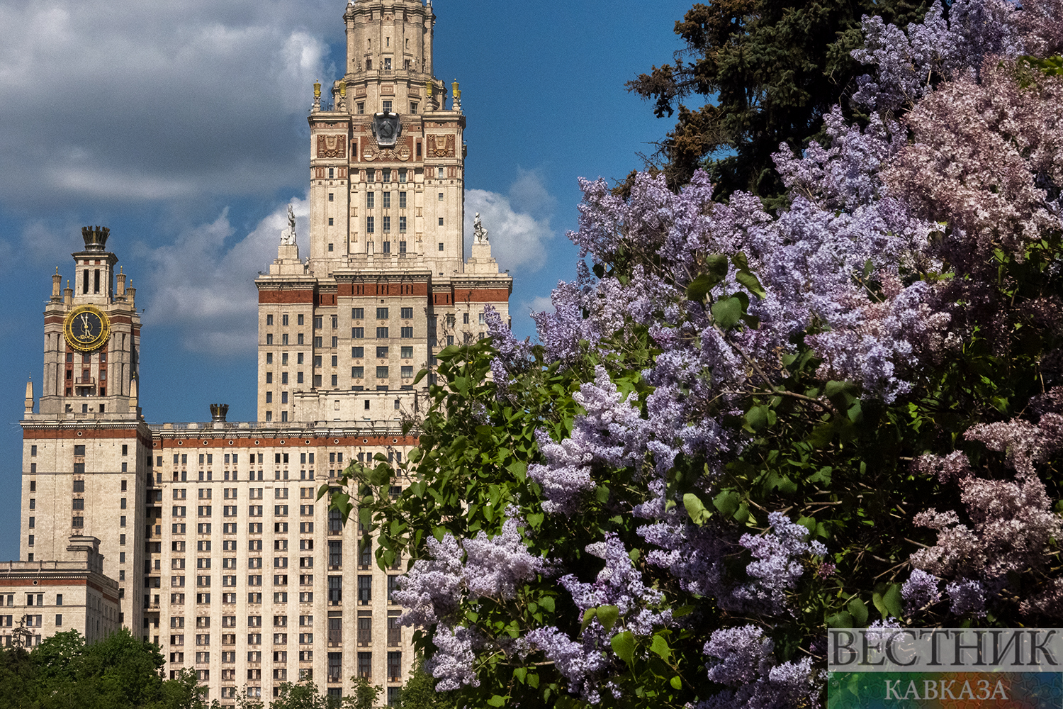 Фото: vestikavkaza.ru