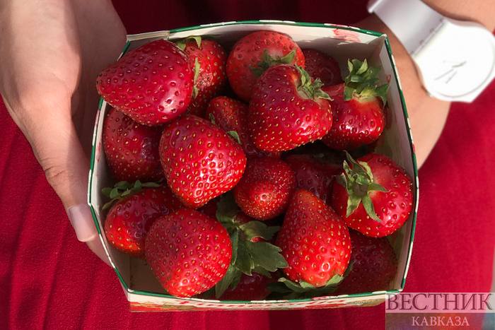 ����: vestikavkaza.ru