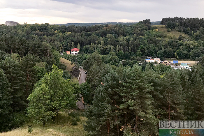 ����: vestikavkaza.ru