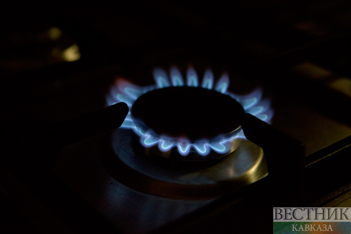 ����: vestikavkaza.ru