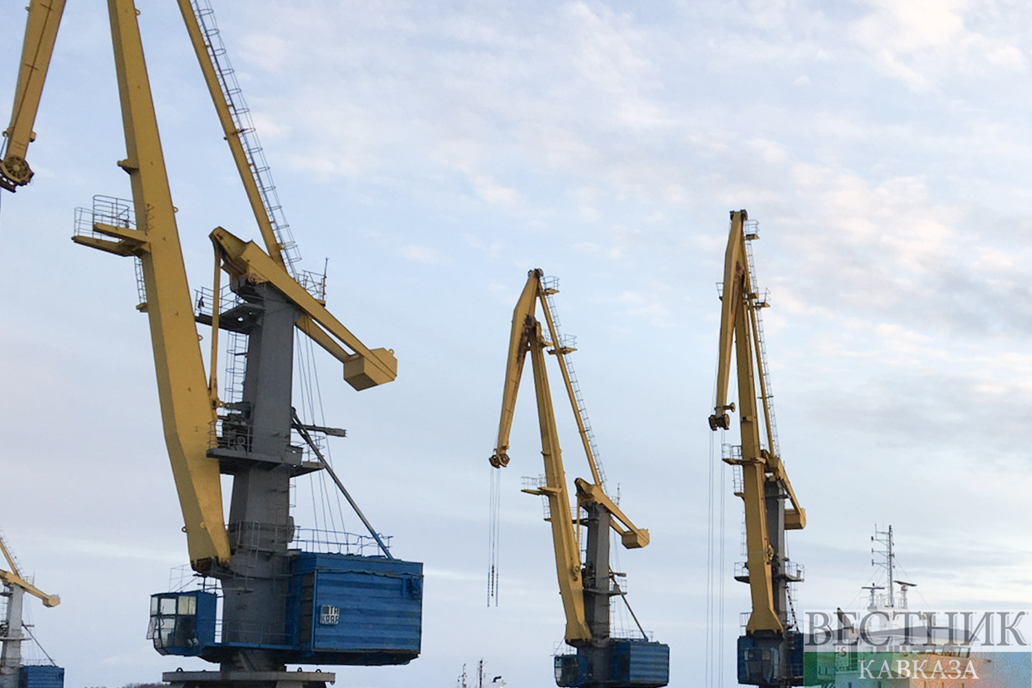 ����: vestikavkaza.ru