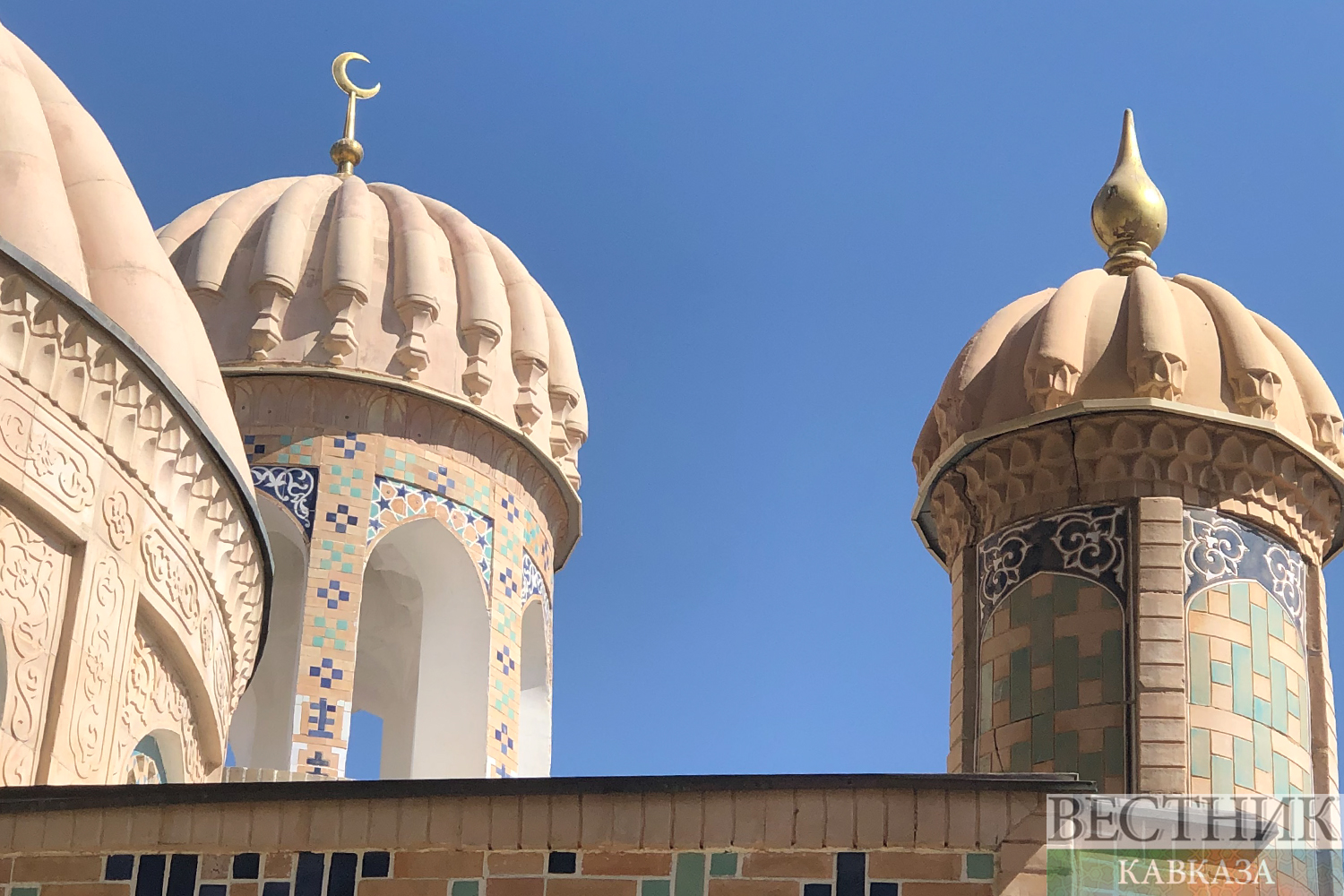 ����: vestikavkaza.ru