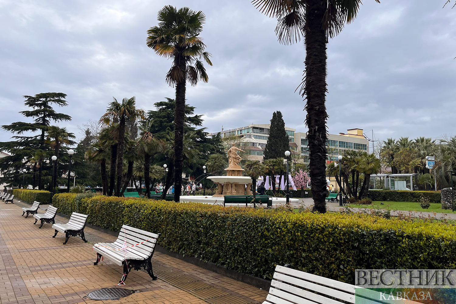 ����: vestikavkaza.ru