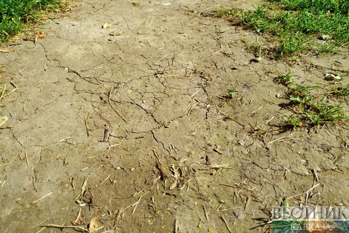 ����: vestikavkaza.ru