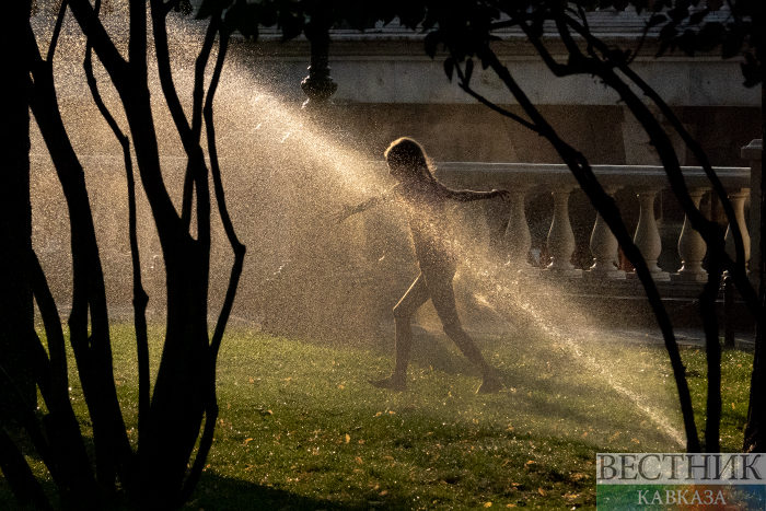 ����: vestikavkaza.ru