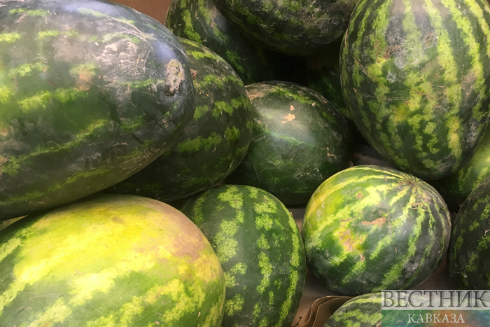 ����: vestikavkaza.ru