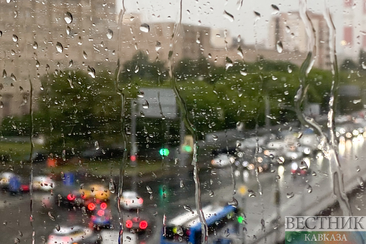 ����: vestikavkaza.ru