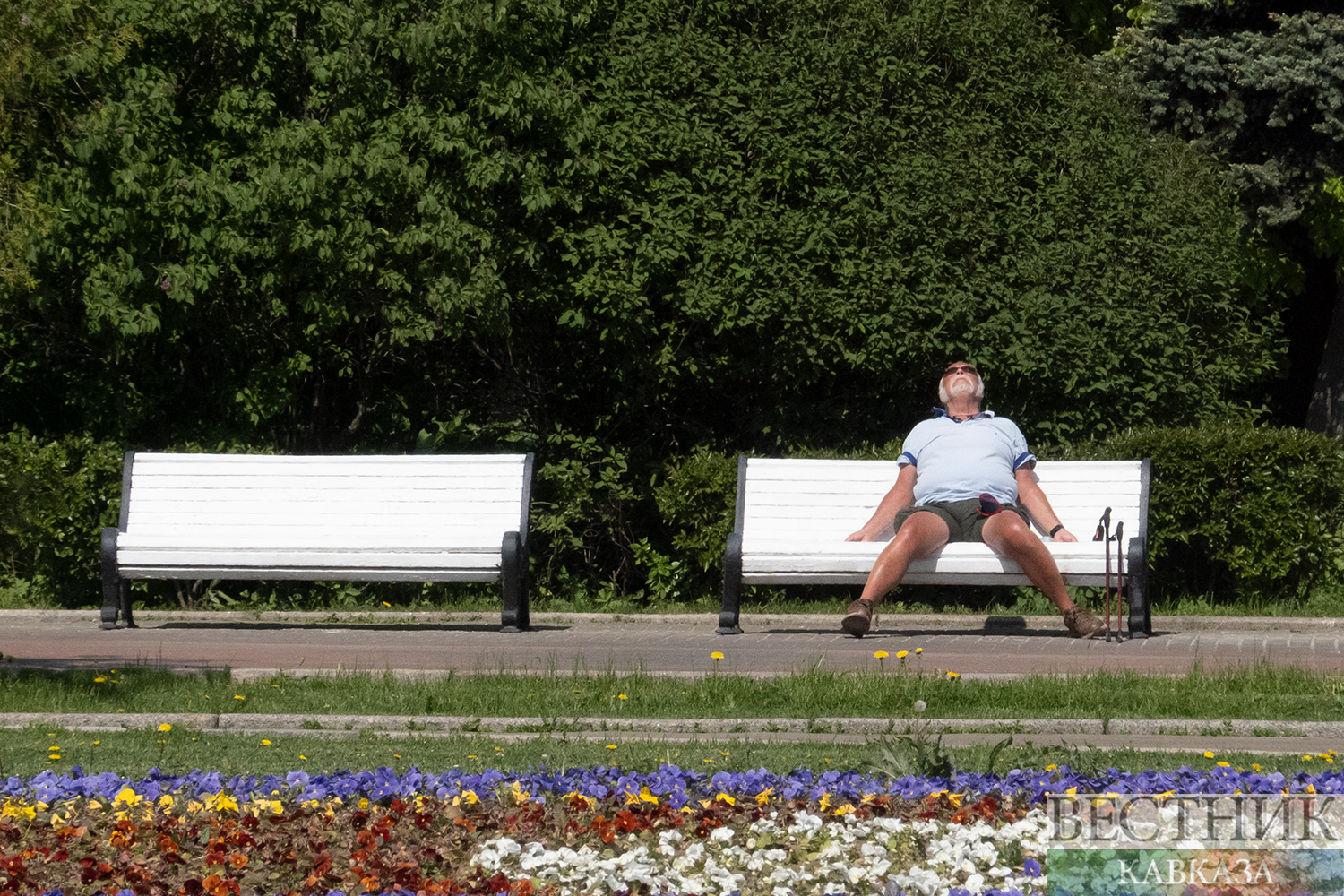 ����: vestikavkaza.ru