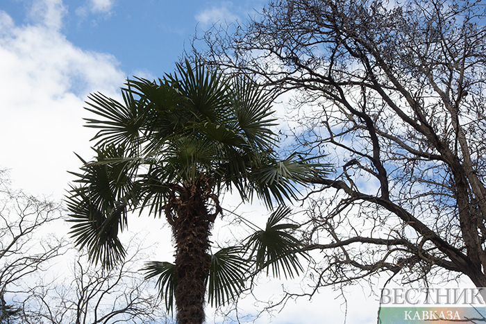 ����: vestikavkaza.ru