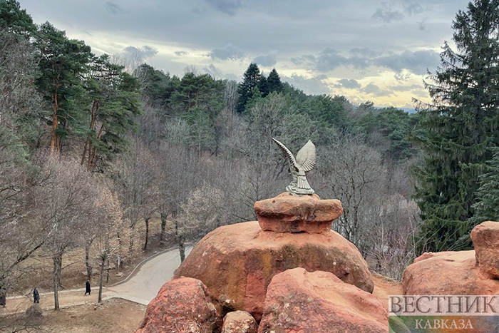 Фото: vestikavkaza.ru