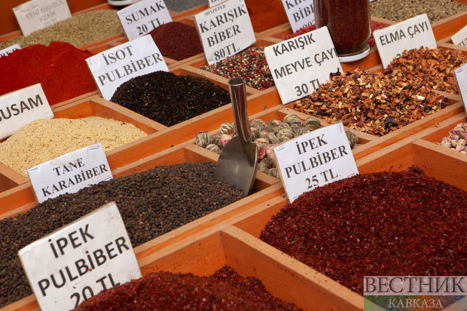 ����: vestikavkaza.ru