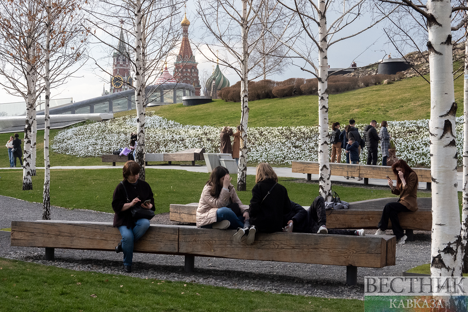 ����: vestikavkaza.ru
