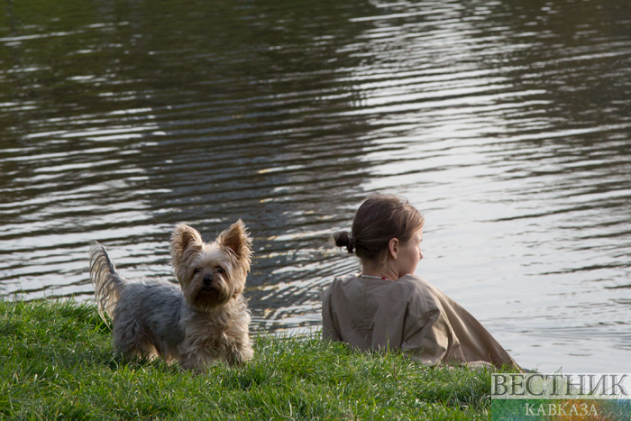 ����: vestikavkaza.ru