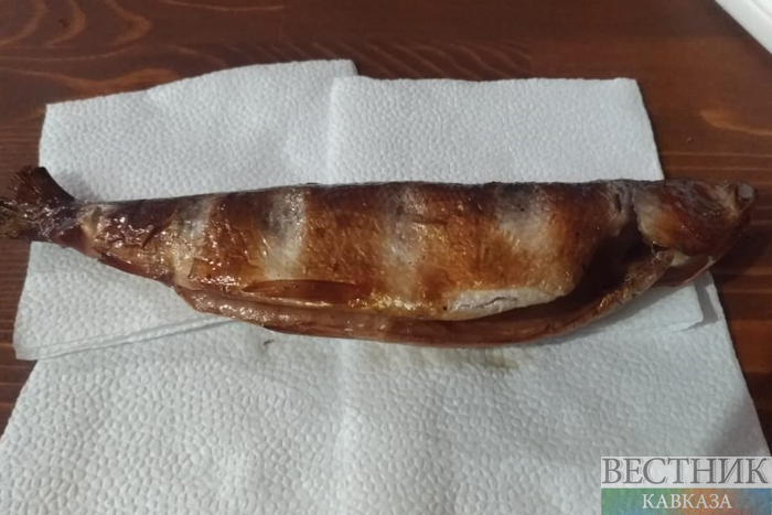 ����: vestikavkaza.ru