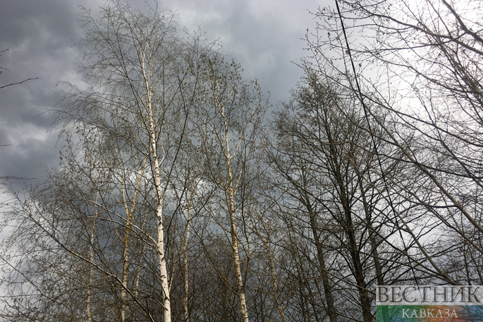 ����: vestikavkaza.ru