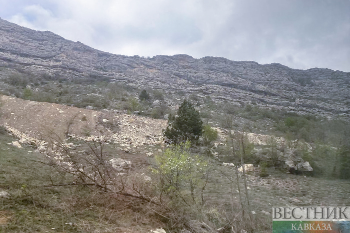 ����: vestikavkaza.ru