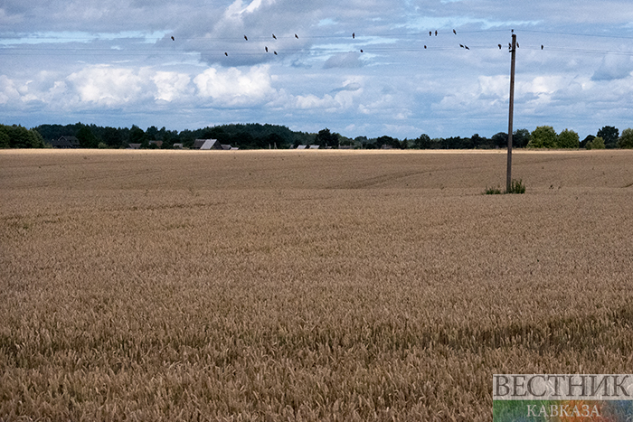 ����: vestikavkaza.ru