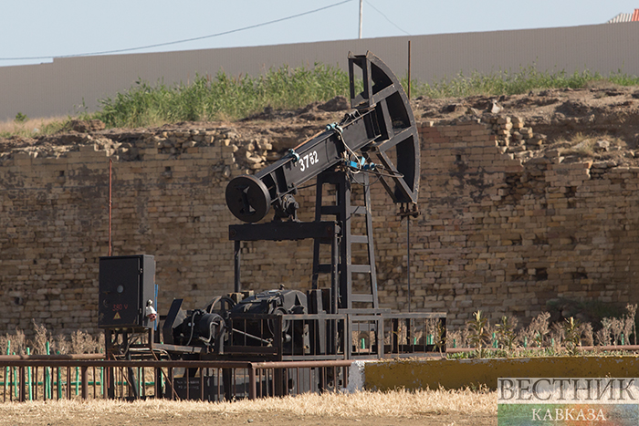 Фото: vestikavkaza.ru