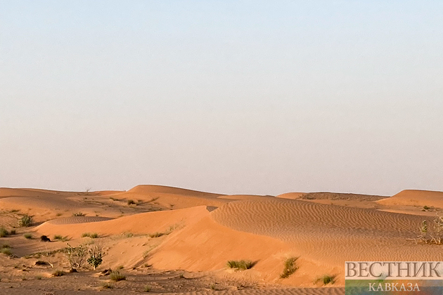 ����: vestikavkaza.ru