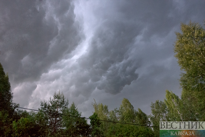 ����: vestikavkaza.ru