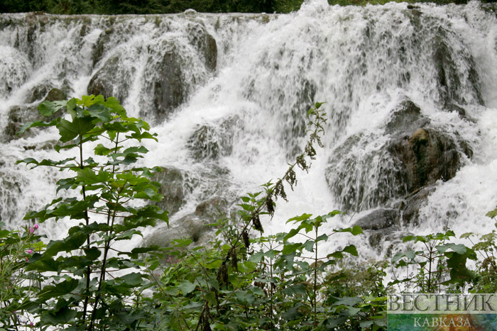 ����: vestikavkaza.ru