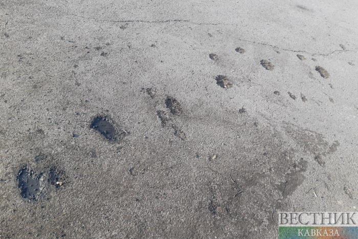 ����: vestikavkaza.ru