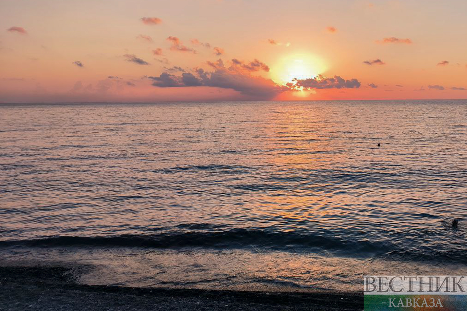 ����: vestikavkaza.ru