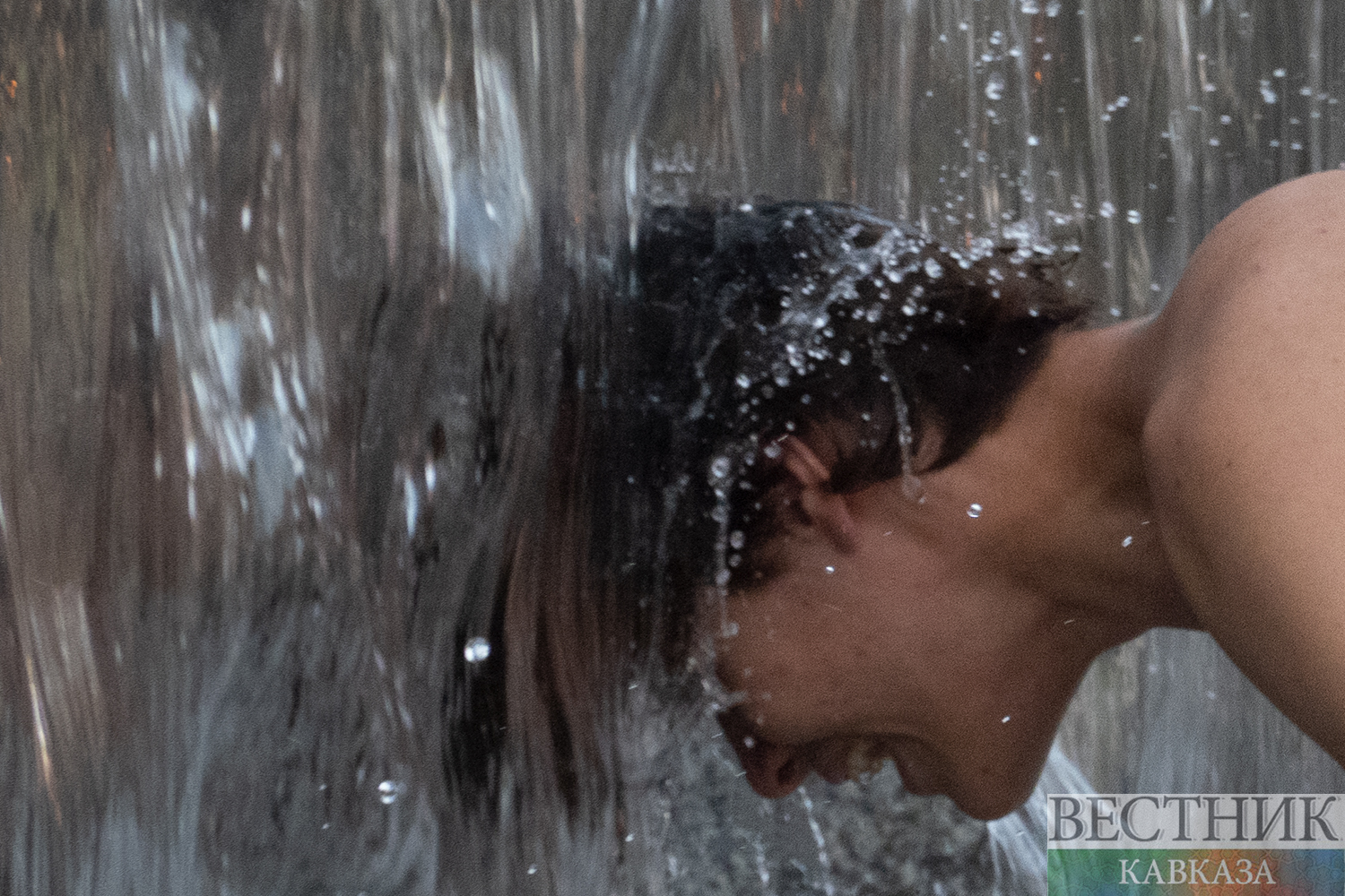 ����: vestikavkaza.ru