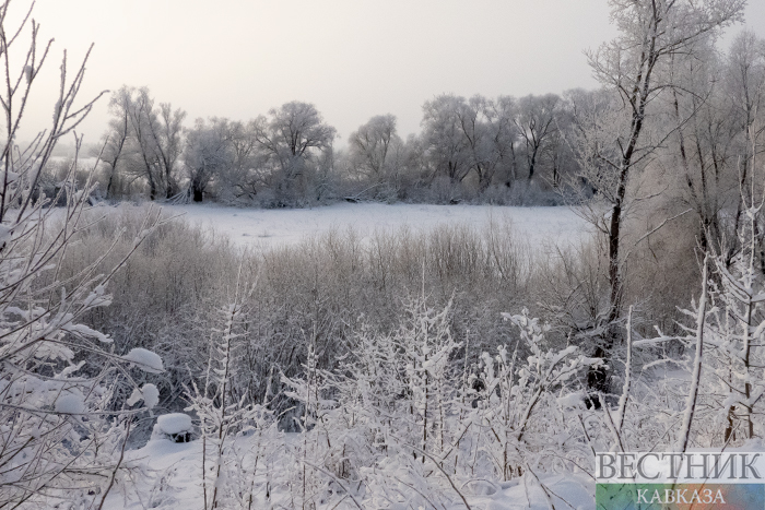 ����: vestikavkaza.ru