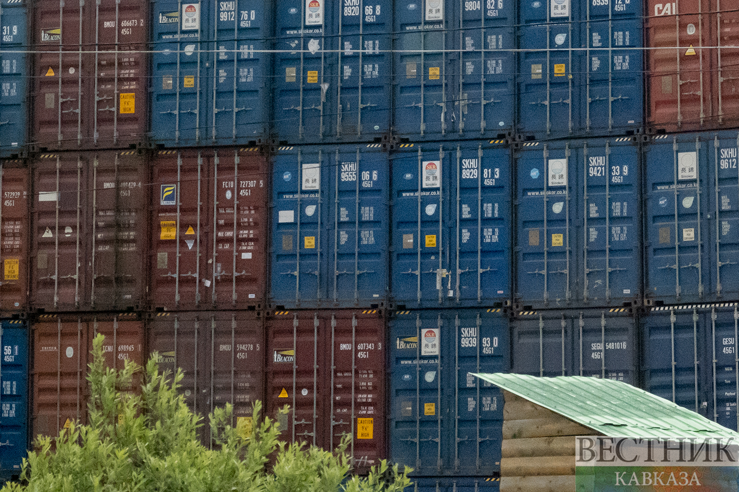 ����: vestikavkaza.ru