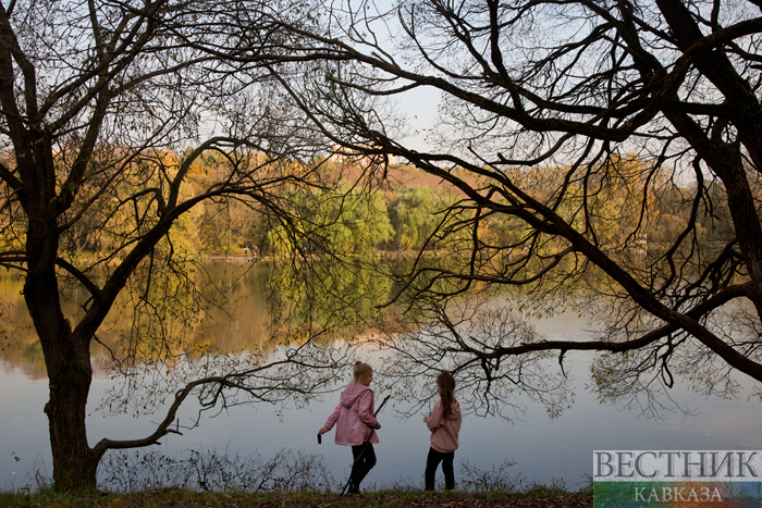 ����: vestikavkaza.ru