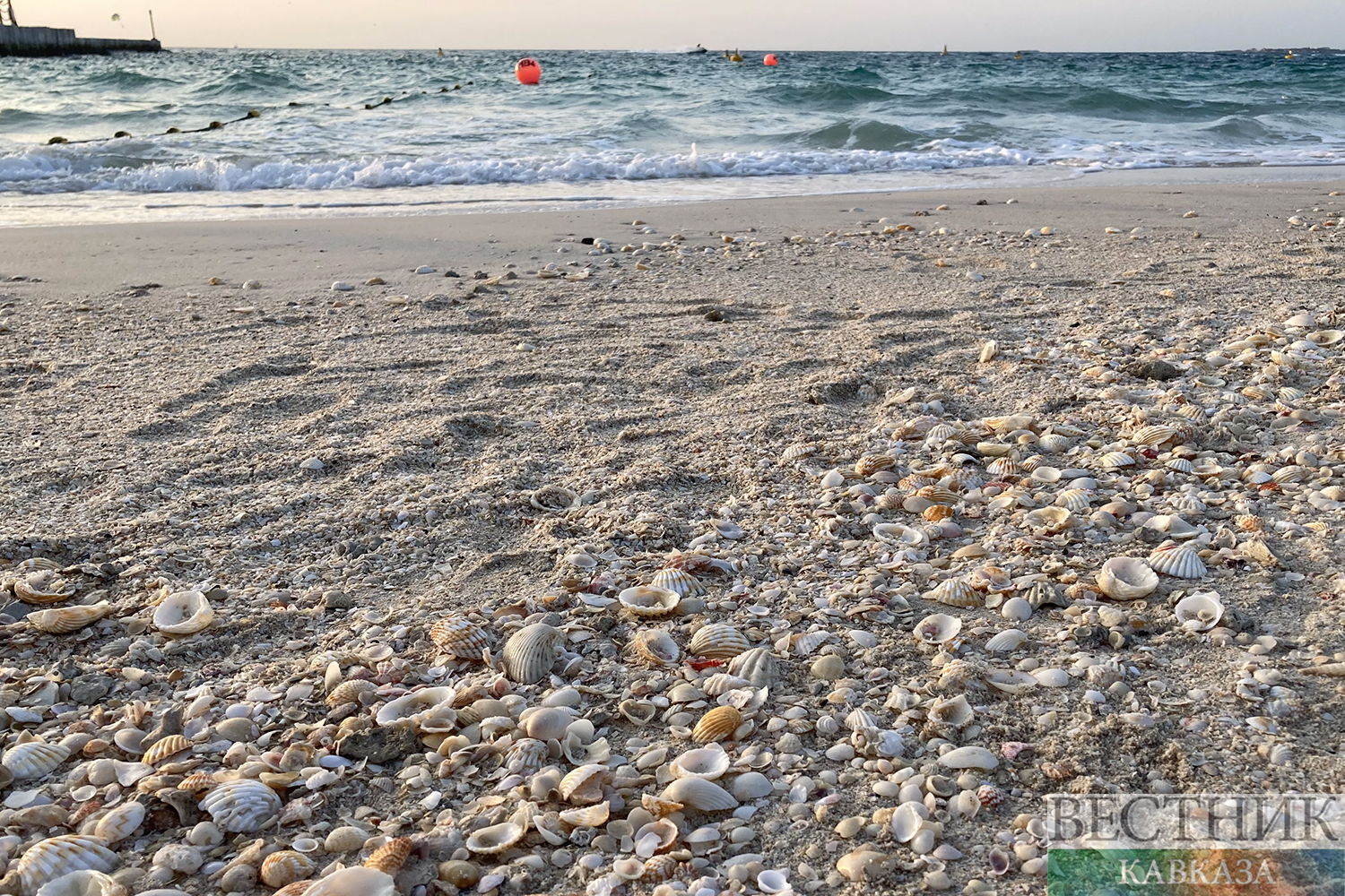 ����: vestikavkaza.ru