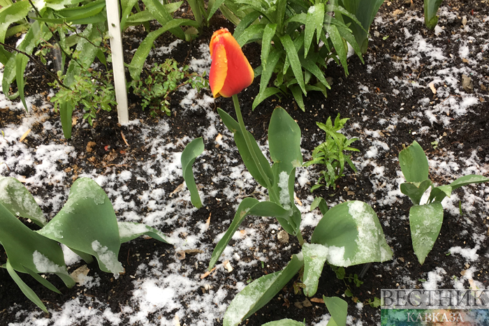 ����: vestikavkaza.ru