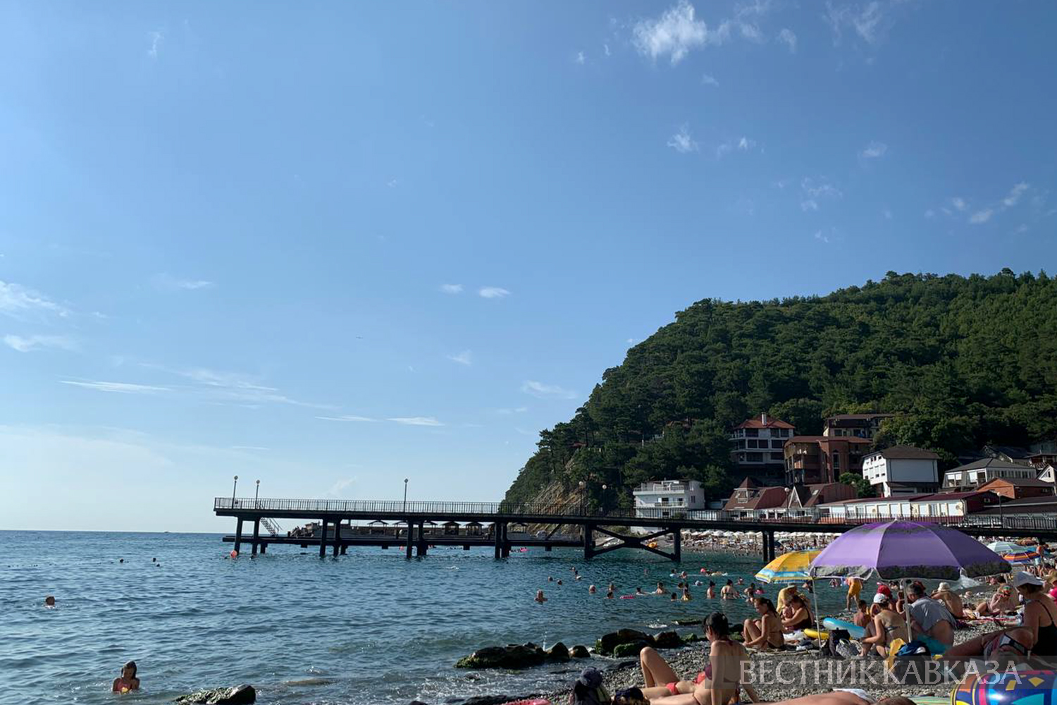 ����: vestikavkaza.ru