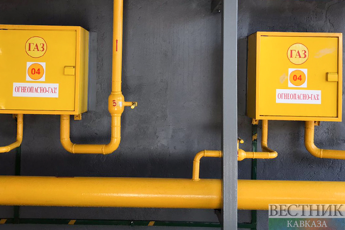 Фото: vestikavkaza.ru